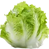 Salad + Cabbage image