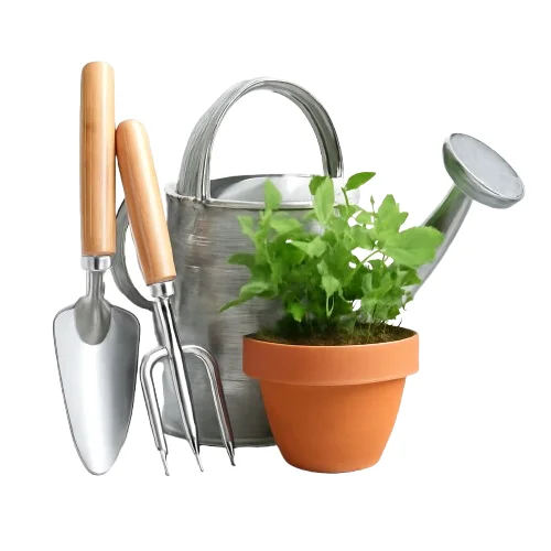 Garden image