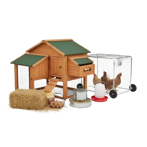 Chicken Farming image
