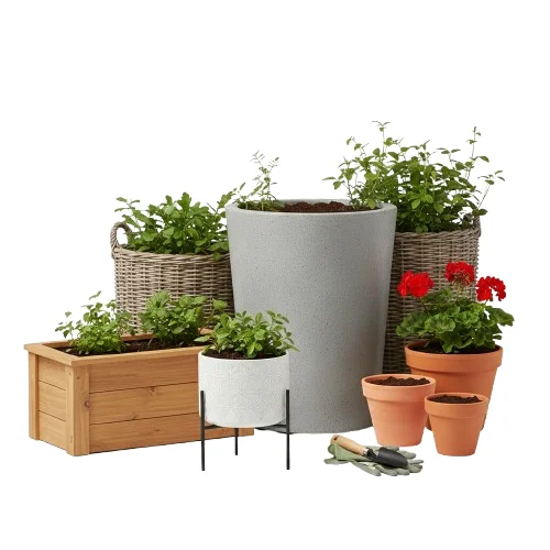 Planters image