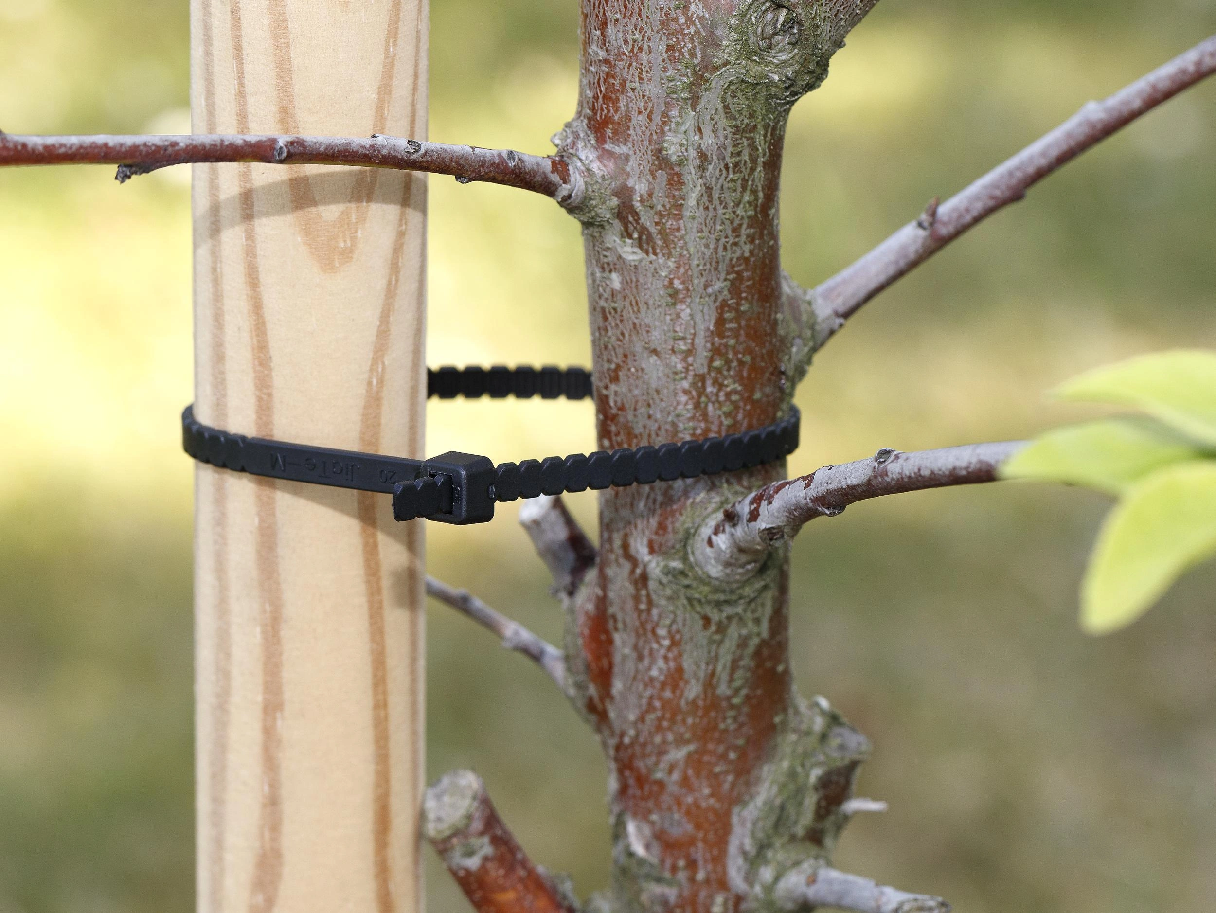 Wire End Ferrules, Cable Ties image