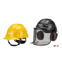 Head Protection image