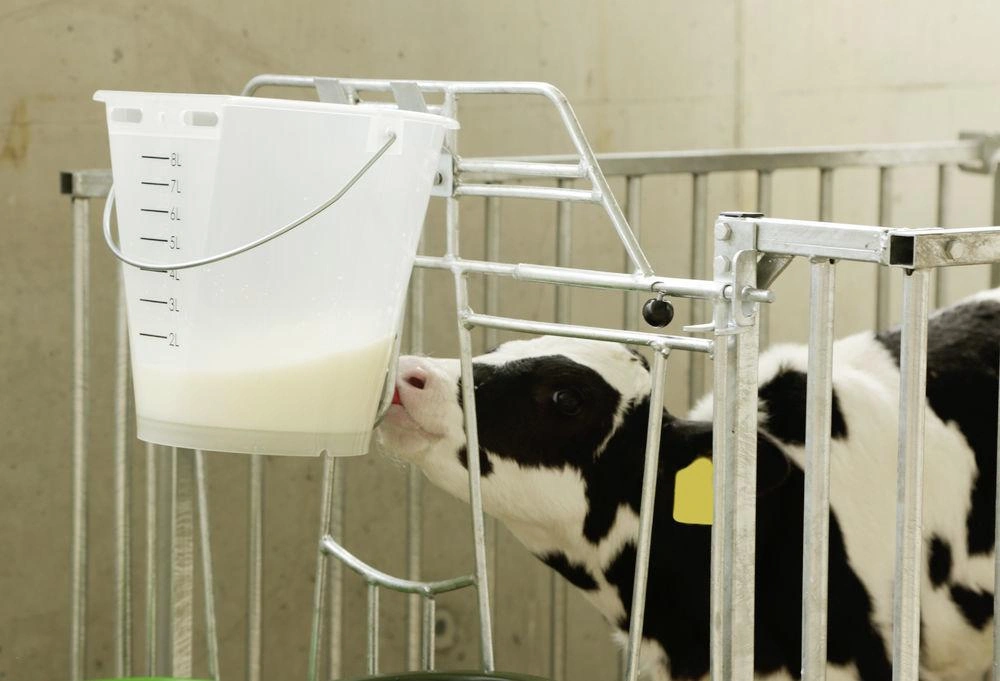 Milking image