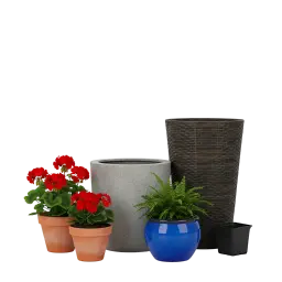 Plant Pots, Flower Pots image