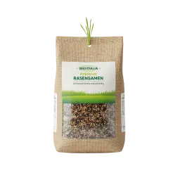 Lawn Seeds image