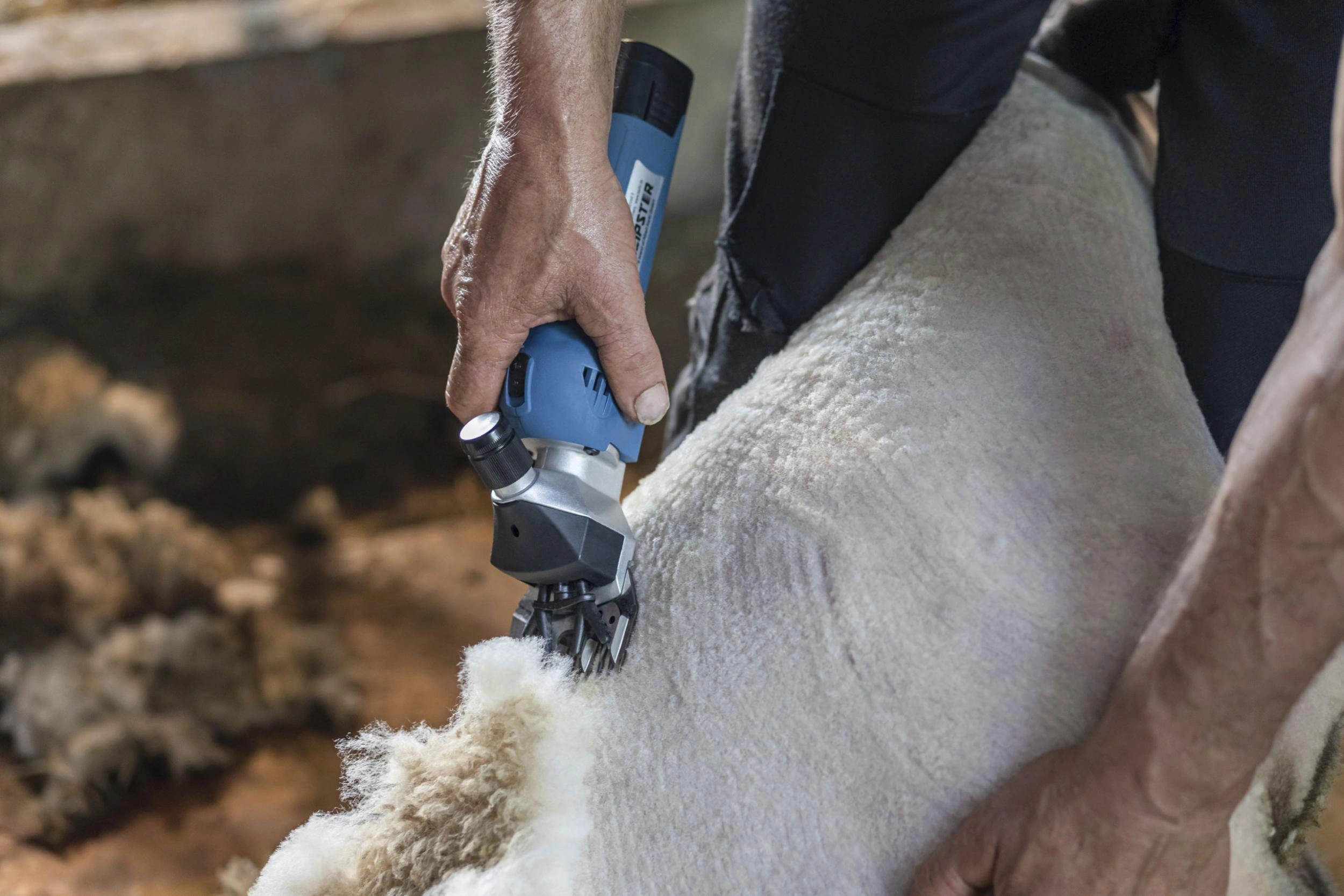 Sheep Shearing Machines image