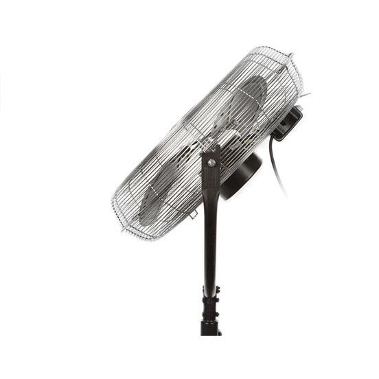 Fans image