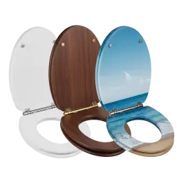 Toilet Seats image
