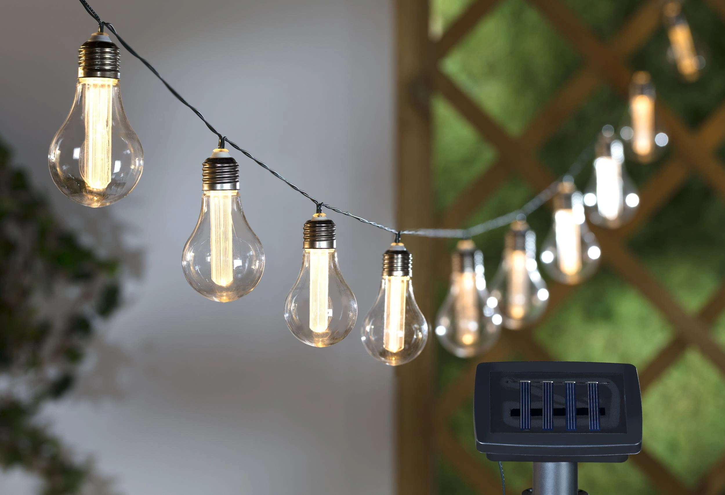 Fairy Lights image