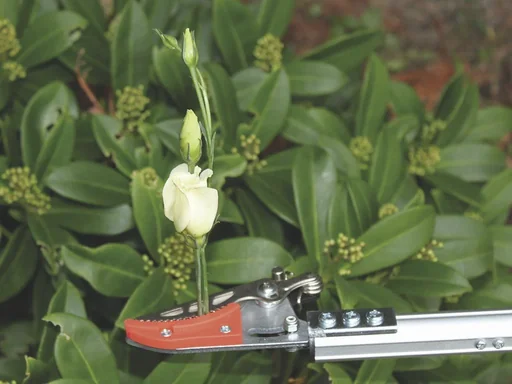 "Special scissors "Rosenkavalier" + Rose Miracle Scissors + eversharp 5-in-1 multifunctional spray, 400 ml image"