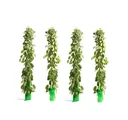 Flower-up set of 4 XXL mourning willows 120 - 140 cm