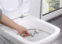 toilet rim brush