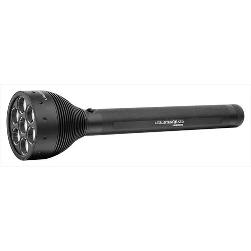 "X21.2 flashlight image"