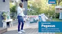 Tumble dryer Pegasus 180 Solid Plus
