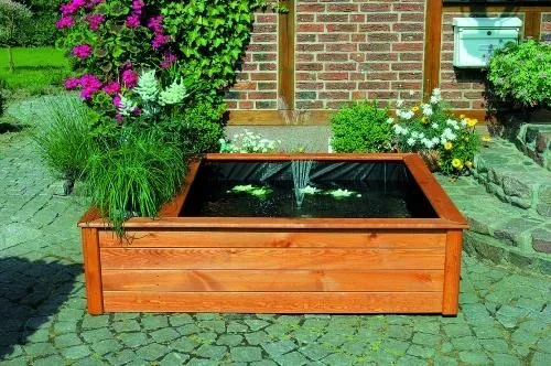 "Raised pond with side planting zone image"