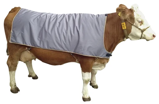 "Thermal blanket for Fleckvieh and large Black Pied cattle, back length 155 cm, length 190 cm, width 150 cm image"