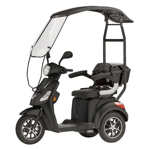 "3-wheel electric vehicle Bologna 25 km/h black including wind and weather protection image"