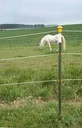Metal post T-Post, 213 cm, 60 pieces