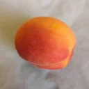 Apricot "Mombacher Frühe", 7.5L container, juicy,