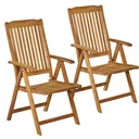 Garden chair - set of 2 - teak wood - foldable