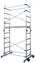 Pinna multifunctional scaffold