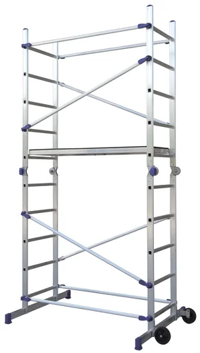 "Pinna multifunctional scaffold image"