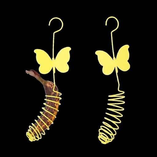 "Feeder for butterflies image"
