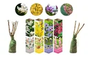 Flower-up 4er-Set Ziersträucher 50 - 70 cm