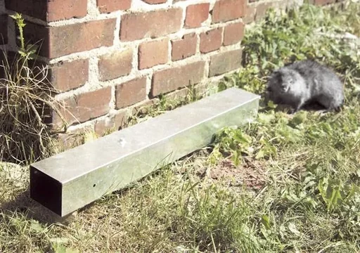 "Metal bait box image"