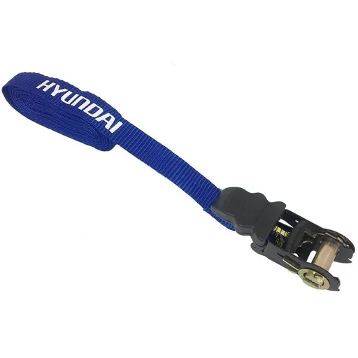 "Lashing strap with ratchet 25mmx5m. image"