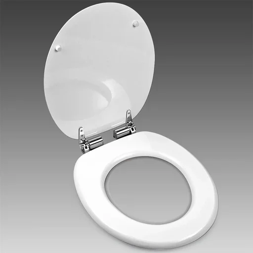 "White toilet seat with soft close image"