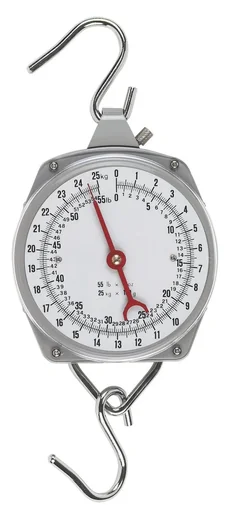 "Pointer scale up to 100 kg, line divisions 1 kg and 500 g image"