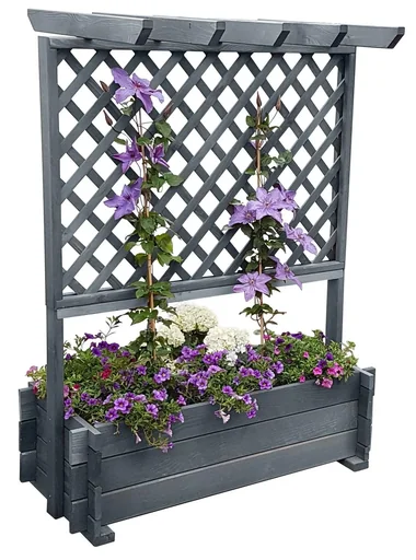 "Rankkasten mit Pergola, Grau image"