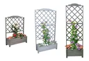 Shelves Botanica 69 x 210 cm, Grau