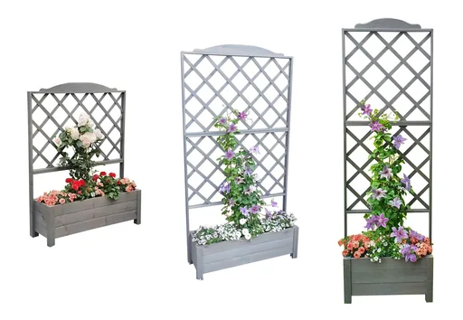 "Shelves Botanica 69 x 210 cm, Grau image"