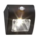 Solar wall and fence light with motion detector