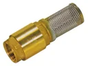 Suction cup check valve with filter