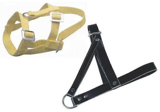 "Head halter sheep - made of polymide (nylon) image"