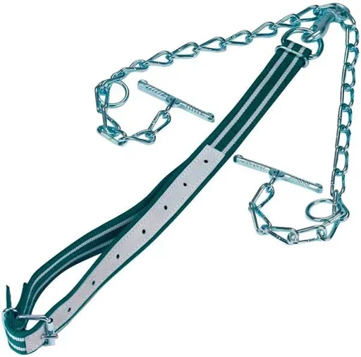 "Cattle tether, complete with collar and chain image"