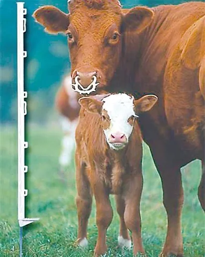 "Pasture fence post, white, 105 cm, 20 pieces image"
