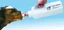 Milk bottle 3 l for calves