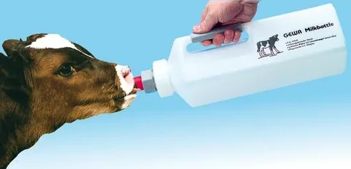 "Milk bottle 3 l for calves image"