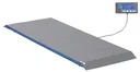 Animal scale PS1000 up to 500kg