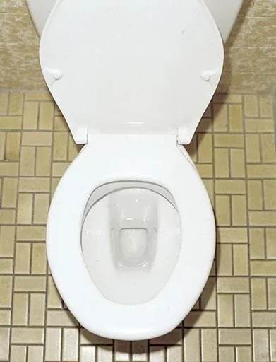 "Toilet cleaning tablets "Swiss Tabs", thorough cleaning, 20 tablets image"