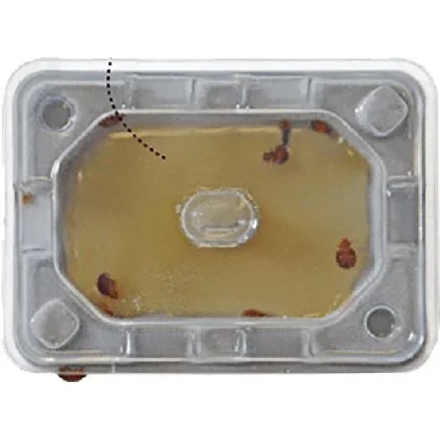 "Catchmaster Slider Bed Bug Monitor image"