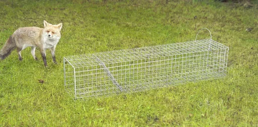 "Young fox tube trap, 20 x 20 x 100 cm image"