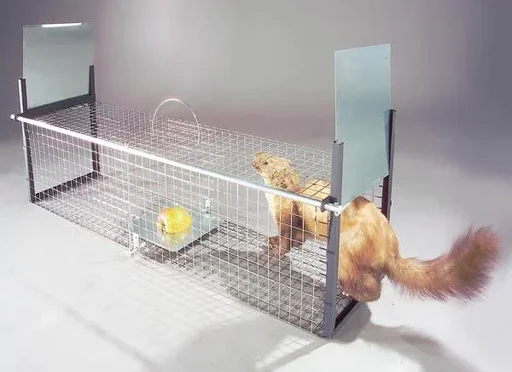 "Live trap for martens, polecats, cats, and rabbits, 26 x 26 x 105 cm, 4.2 kg image"