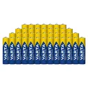 INDUSTRIAL PRO Micro (AAA) Alkaline Batteries - 40 Pack