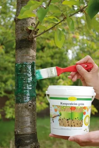 "Caterpillar glue, green, 250 g can - to protect your trees image"