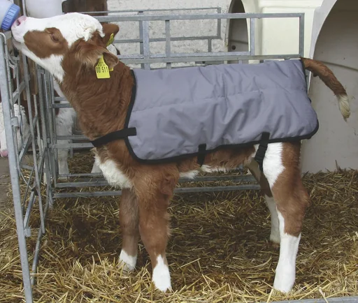 "Calf blanket ripstop, 70 cm image"